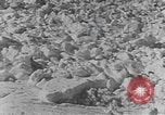 Image of avalanches United States USA, 1943, second 17 stock footage video 65675076346