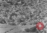 Image of avalanches United States USA, 1943, second 19 stock footage video 65675076346