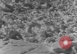 Image of avalanches United States USA, 1943, second 20 stock footage video 65675076346