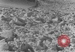 Image of avalanches United States USA, 1943, second 23 stock footage video 65675076346