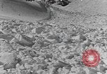 Image of avalanches United States USA, 1943, second 24 stock footage video 65675076346