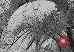 Image les sports d'hiver Garmisch-Partenkirchen Allemagne, 1936, de la seconde 48 séquences d'archives historiques vidéo 65675076357