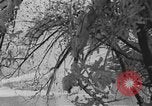 Image les sports d'hiver Garmisch-Partenkirchen Allemagne, 1936, de la seconde 50 séquences d'archives historiques vidéo 65675076357