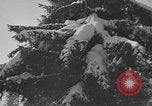Image des civils allemands Garmisch-Partenkirchen Allemagne, 1936, de la seconde 17 séquences d'archives historiques vidéo 65675076358