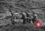 Immagine di Prigionieri tedeschi Italia, 1945, secondo 14 filmato di repertorio 65675076367