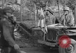 Immagine di Prigionieri tedeschi Italia, 1945, secondo 55 filmato di repertorio 65675076367