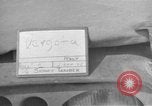 Standbild USA Ingenieure Vergato Italien, 1945, aus Sekunde 1 historischem Filmmaterial Videoclip 65675076368