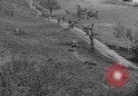 Immagine di Soldati statunitensi Italia, 1945, secondo 32 filmato di repertorio 65675076381