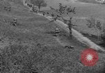 Immagine di Soldati statunitensi Italia, 1945, secondo 33 filmato di repertorio 65675076381