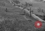 Immagine di Soldati statunitensi Italia, 1945, secondo 35 filmato di repertorio 65675076381