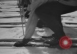 Image le ski United States USA, 1941, de la seconde 59 séquences d'archives historiques vidéo 65675076386