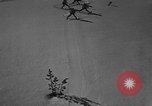 Image of skiing United States USA, 1941, second 54 stock footage video 65675076389