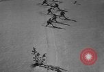 Image of skiing United States USA, 1941, second 59 stock footage video 65675076389