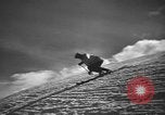 Image of skiing United States USA, 1941, second 37 stock footage video 65675076394