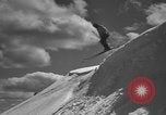Image of skiing United States USA, 1941, second 39 stock footage video 65675076395