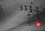 Image of skiing United States USA, 1941, second 3 stock footage video 65675076396