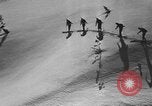 Image of skiing United States USA, 1941, second 4 stock footage video 65675076396