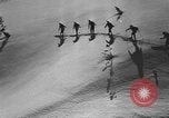 Image of skiing United States USA, 1941, second 8 stock footage video 65675076396