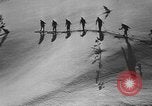 Image of skiing United States USA, 1941, second 12 stock footage video 65675076396