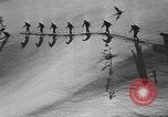 Image of skiing United States USA, 1941, second 17 stock footage video 65675076396