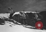 Image of skiing United States USA, 1941, second 39 stock footage video 65675076396