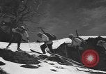Image of skiing United States USA, 1941, second 46 stock footage video 65675076396