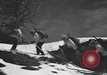 Image of skiing United States USA, 1941, second 47 stock footage video 65675076396