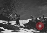 Image of skiing United States USA, 1941, second 53 stock footage video 65675076396