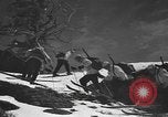 Image of skiing United States USA, 1941, second 58 stock footage video 65675076396