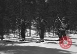 Image of skiing United States USA, 1942, second 19 stock footage video 65675076398