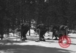 Image of skiing United States USA, 1942, second 26 stock footage video 65675076398