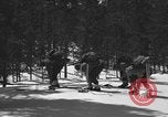 Image of skiing United States USA, 1942, second 27 stock footage video 65675076398