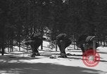 Image of skiing United States USA, 1942, second 31 stock footage video 65675076398