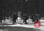 Image of skiing United States USA, 1942, second 32 stock footage video 65675076398