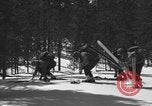 Image of skiing United States USA, 1942, second 34 stock footage video 65675076398