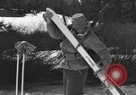 Immagine di Sci United States USA, 1942, secondo 39 filmato di repertorio 65675076399