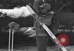 Immagine di Sci United States USA, 1942, secondo 44 filmato di repertorio 65675076399
