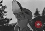 Immagine di Sci United States USA, 1942, secondo 52 filmato di repertorio 65675076399