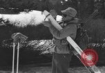 Immagine di Sci United States USA, 1942, secondo 57 filmato di repertorio 65675076399