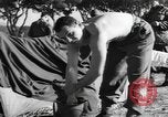 Immagine di Soldati statunitensi Italia, 1945, secondo 20 filmato di repertorio 65675076401