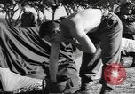Immagine di Soldati statunitensi Italia, 1945, secondo 26 filmato di repertorio 65675076401