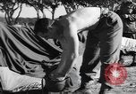 Immagine di Soldati statunitensi Italia, 1945, secondo 27 filmato di repertorio 65675076401