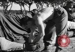 Immagine di Soldati statunitensi Italia, 1945, secondo 28 filmato di repertorio 65675076401