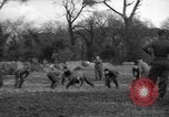 Immagine di Soldati statunitensi Italia, 1945, secondo 25 filmato di repertorio 65675076402