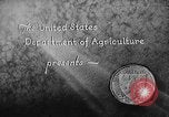Image of Winter Sports United States USA, 1934, second 5 stock footage video 65675076407