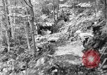 Image of Civilian Conservation Corps creating skiing and hiking trails New Hampshire United States USA, 1934, second 9 stock footage video 65675076411