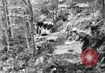 Image of Civilian Conservation Corps creating skiing and hiking trails New Hampshire United States USA, 1934, second 10 stock footage video 65675076411