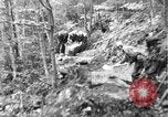 Image of Civilian Conservation Corps creating skiing and hiking trails New Hampshire United States USA, 1934, second 12 stock footage video 65675076411