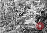 Image of Civilian Conservation Corps creating skiing and hiking trails New Hampshire United States USA, 1934, second 13 stock footage video 65675076411