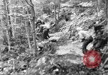 Image of Civilian Conservation Corps creating skiing and hiking trails New Hampshire United States USA, 1934, second 14 stock footage video 65675076411